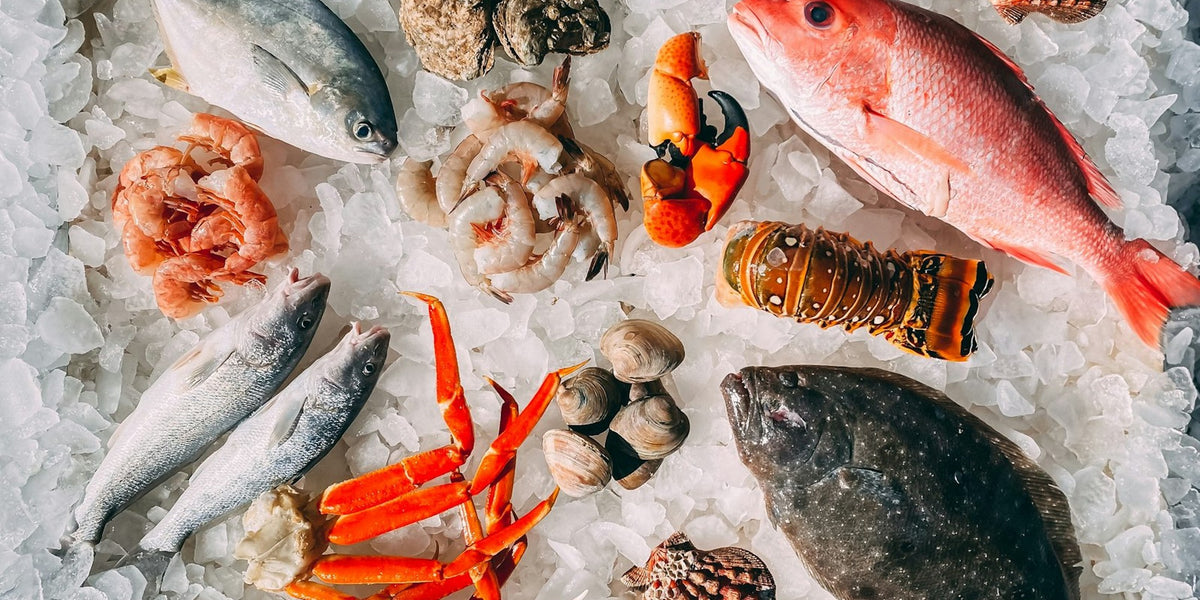 Jiya James Terry SMITH — cold-water seafood hero